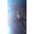 旅行风景1431