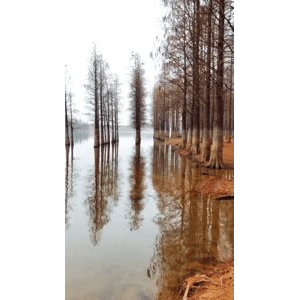 旅行风景1432