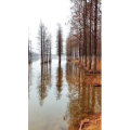 旅行风景1432