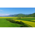 旅行风景1434