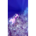 旅行风景1443