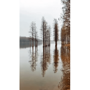 旅行风景1454