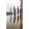 旅行风景1454