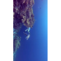 旅行风景1457