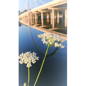 旅行风景1463