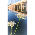 旅行风景1463