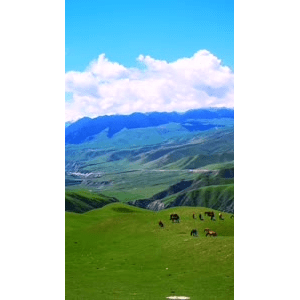 旅行风景1466