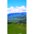 旅行风景1466