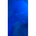 旅行风景1467