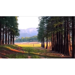 旅行风景1469