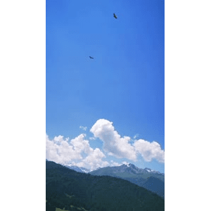 旅行风景1470