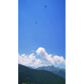 旅行风景1470