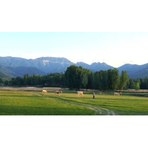旅行风景1471