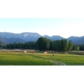 旅行风景1471