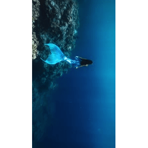 旅行风景1473