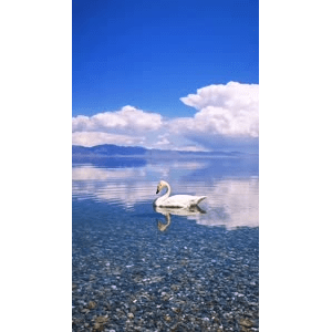 旅行风景1475