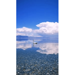 旅行风景1482