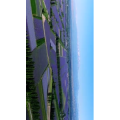 旅行风景1485
