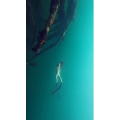 旅行风景1491