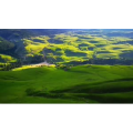 旅行风景1496