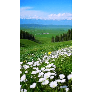 旅行风景1501