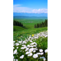 旅行风景1501