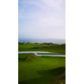 旅行风景1504