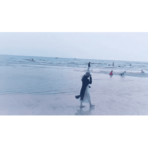 旅行风景1508