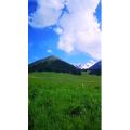 旅行风景1510