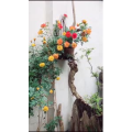 旅行风景1519