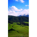 旅行风景1533