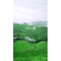 旅行风景1538