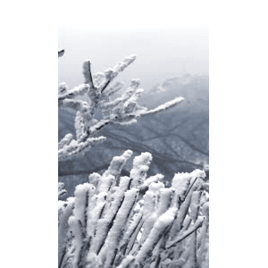旅行风景1542