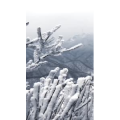 旅行风景1542