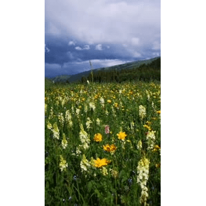 旅行风景1544