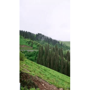 旅行风景1547