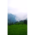 旅行风景1549