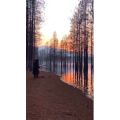旅行风景1554
