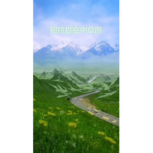 旅行风景1556