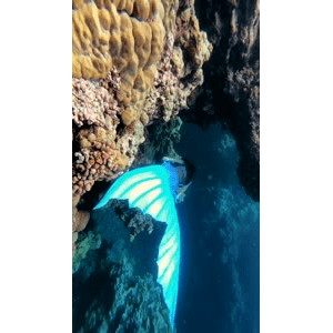 旅行风景1558