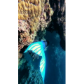 旅行风景1558