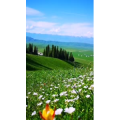 旅行风景1561
