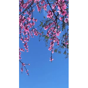 旅行风景1572