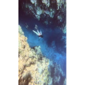 旅行风景1582