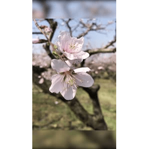 旅行风景1583
