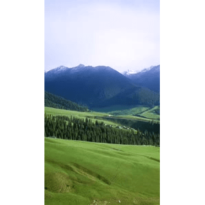 旅行风景1584