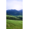 旅行风景1584