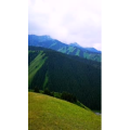 旅行风景1601
