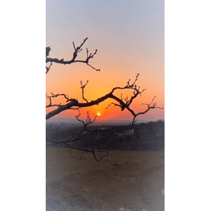 旅行风景1602