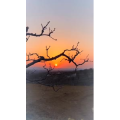 旅行风景1602